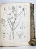 Report of Explorations and Surveys, to ascertain the most practical and economical route for a railroad from the Mississippi River to the Pacific Ocean made in 1853-4, Volume IV: Report on the Botany of the Expedition