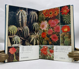 A Color Photo Album of Cacti and Succulents, in 3 volumes, complete