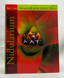 Nidularium: Bromeliads of the Atlantic Coast