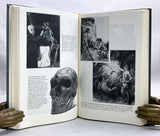 Bones of Contention: Controversies in the Search for Human Origins
