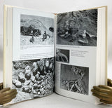 Dragon Hunter: Roy Chapman Andrews and the Central Asiatic Expeditions