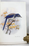 The Birds of California. A Complete, Scientific and Popular Account of the 580 Species and Subspecies of Birds Found in the State, the Booklovers’ Edition, limited to 1000 copies, in four volumes