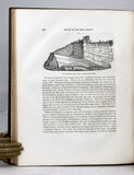 Geology of New York, Part III: Comprising the Survey of the Third Geological District (Natural History of New York series)