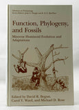 Function, Phylogeny, and Fossils: Miocene Hominoid Evolution and Adaptations