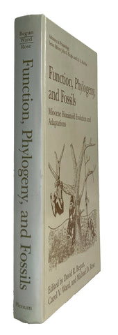 Function, Phylogeny, and Fossils: Miocene Hominoid Evolution and Adaptations