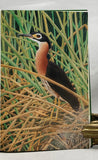 The Herons Handbook