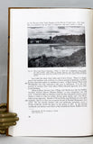 Birds of the Niagara Frontier Region: An Annotated Check-List
