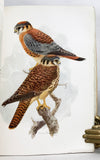 The Birds of California. A Complete, Scientific and Popular Account of the 580 Species and Subspecies of Birds Found in the State, the Booklovers’ Edition, limited to 1000 copies, in four volumes