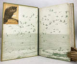 The Birds of California. A Complete, Scientific and Popular Account of the 580 Species and Subspecies of Birds Found in the State, the Booklovers’ Edition, limited to 1000 copies, in four volumes