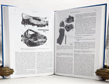 Geology and Paleontology of the Miocene Sinap Formation, Turkey