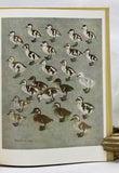 The Waterfowl of the World, in 4 volumes, in a color pictorial slipcase