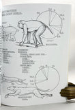 The Human Evolution Coloring Book
