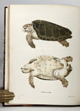 North American Herpetology; or A Description of the Reptiles Inhabiting the United States, in five volumes (Second edition)