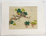 Chinese Woodblock Print "Squirrel and Grapes" from the Mustard Seed Garden Manual of Painting