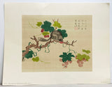 Chinese Woodblock Print "Squirrel and Grapes" from the Mustard Seed Garden Manual of Painting