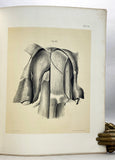 Aanteekeningen over de anatomie van Cryptobranchus japonicus