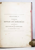 Report upon the Collections of Batrachians and Reptiles made in portions of Nevada, Utah, California, Colorado, New Mexico, and Arizona during the years 1871, 1872, 1873, and 1874