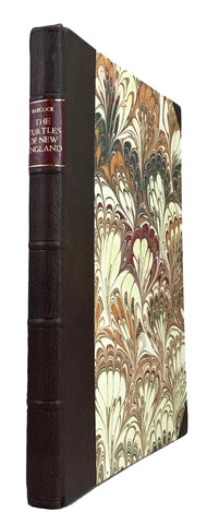 The Turtles of New England