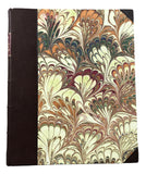 The Turtles of New England