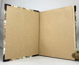 The Turtles of New England