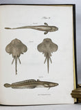 Zoology of New York or the New York Fauna, Part III: Reptiles and Amphibia + Part IV: Fishes, in 2 volumes (the rare hand-colored plate version)