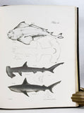 Zoology of New York or the New York Fauna, Part III: Reptiles and Amphibia + Part IV: Fishes, in 2 volumes (the rare hand-colored plate version)