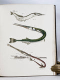 Zoology of New York or the New York Fauna, Part III: Reptiles and Amphibia + Part IV: Fishes, in 2 volumes (the rare hand-colored plate version)