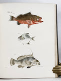 Zoology of New York or the New York Fauna, Part III: Reptiles and Amphibia + Part IV: Fishes, in 2 volumes (the rare hand-colored plate version)