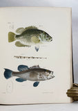 Zoology of New York or the New York Fauna, Part III: Reptiles and Amphibia + Part IV: Fishes, in 2 volumes (the rare hand-colored plate version)