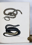 Zoology of New York or the New York Fauna, Part III: Reptiles and Amphibia + Part IV: Fishes, in 2 volumes (the rare hand-colored plate version)