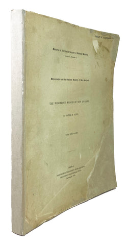 The Whalebone Whales of New England