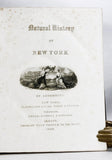 Zoology of New York or the New York Fauna, Part III: Reptiles and Amphibia + Part IV: Fishes, in 2 volumes (the rare hand-colored plate version)