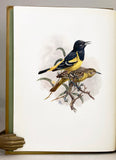 The Birds of California. A Complete, Scientific and Popular Account of the Birds Found in the State, De Luxe Large Paper Edition, 4 volumes, complete