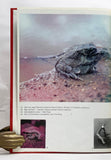 The Amphibians and Reptiles of Botswana