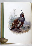 The Birds of California. A Complete, Scientific and Popular Account of the Birds Found in the State, De Luxe Large Paper Edition, 4 volumes, complete