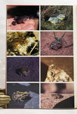 The Amphibians and Reptiles of Botswana