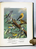 The Birds of Minnesota, in two volumes (first edition)