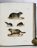 Zoology of New York or the New York Fauna: Introduction and Zoology, Part I: Mammalia