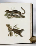 Zoology of New York or the New York Fauna: Introduction and Zoology, Part I: Mammalia