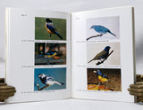 Tanagers, in two volumes: Vol. 1: Tersinidae, Thraupidae Genus 1-16 + Vol. 2: Thraupidae Genus 17-57.