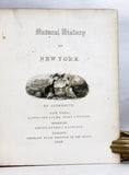 Zoology of New York or the New York Fauna: Introduction and Zoology, Part I: Mammalia