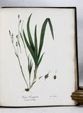 A Flora of the State of New-York, Comprising Full Descriptions of All the Indigenous and Naturalized Plants Hitherto Discovered in the State; with Remarks on Their Economical and Medicinal Properties, in 2 volumes (the hand-colored plate version)
