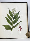 A Flora of the State of New-York, Comprising Full Descriptions of All the Indigenous and Naturalized Plants Hitherto Discovered in the State; with Remarks on Their Economical and Medicinal Properties, in 2 volumes (the hand-colored plate version)
