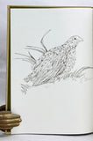 The Coturnix Quail: Anatomy and Histology