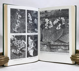 Himalayan Enchantment: an anthology