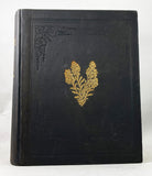 A Flora of the State of New-York, Comprising Full Descriptions of All the Indigenous and Naturalized Plants Hitherto Discovered in the State; with Remarks on Their Economical and Medicinal Properties, in 2 volumes (the hand-colored plate version)