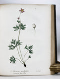 A Flora of the State of New-York, Comprising Full Descriptions of All the Indigenous and Naturalized Plants Hitherto Discovered in the State; with Remarks on Their Economical and Medicinal Properties, in 2 volumes (the hand-colored plate version)