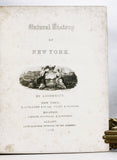 A Flora of the State of New-York, Comprising Full Descriptions of All the Indigenous and Naturalized Plants Hitherto Discovered in the State; with Remarks on Their Economical and Medicinal Properties, in 2 volumes (the hand-colored plate version)