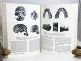 The Human Evolution Source Book