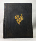 A Flora of the State of New-York, Comprising Full Descriptions of All the Indigenous and Naturalized Plants Hitherto Discovered in the State; with Remarks on Their Economical and Medicinal Properties, in 2 volumes (the hand-colored plate version)